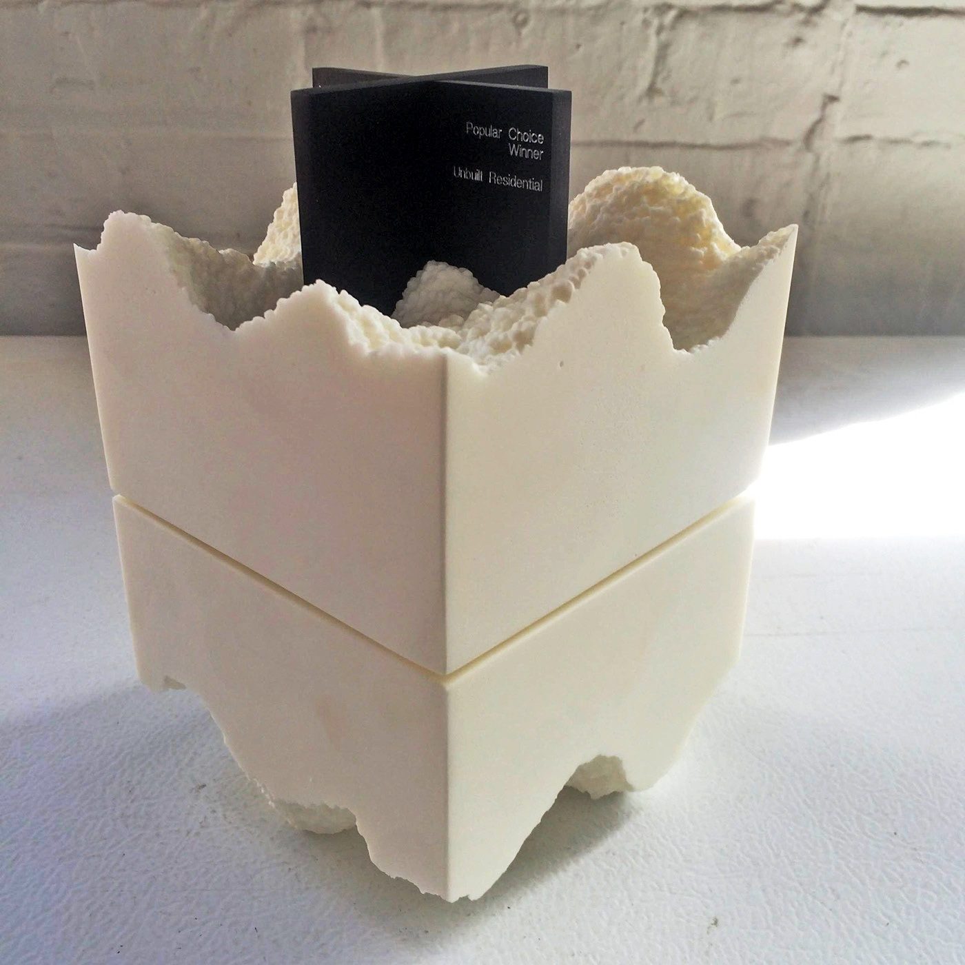 Architizer A+ Award