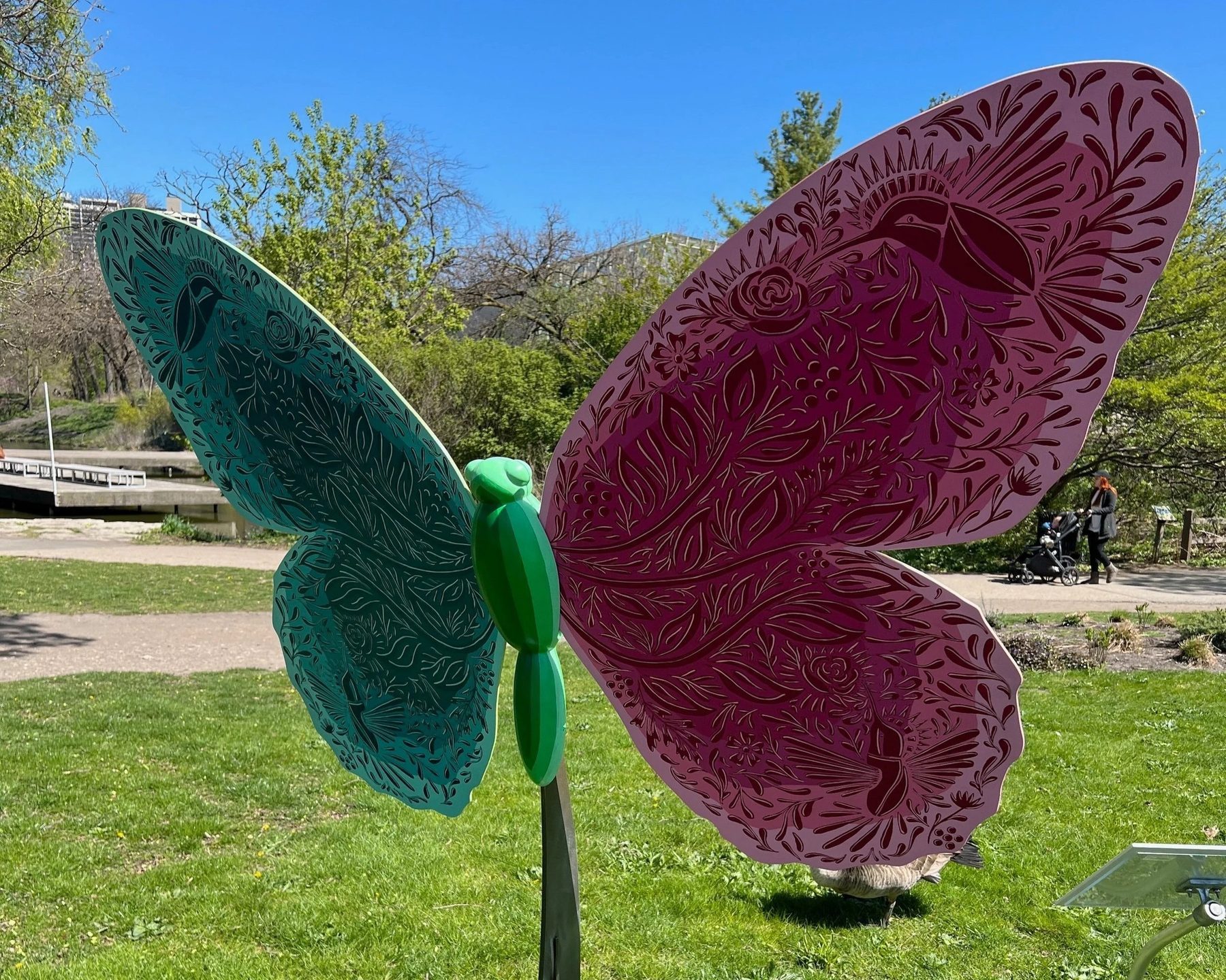 Flight of Butterflies