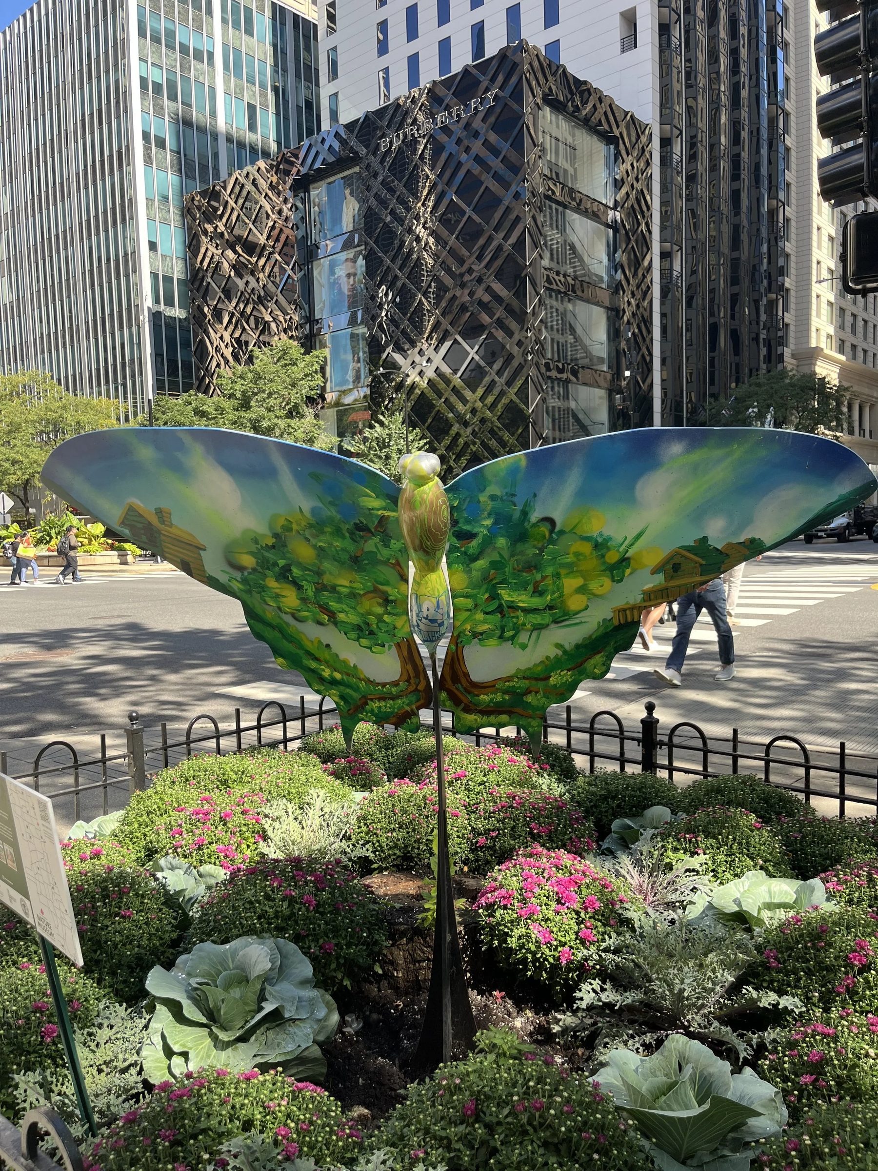 Flight of Butterflies