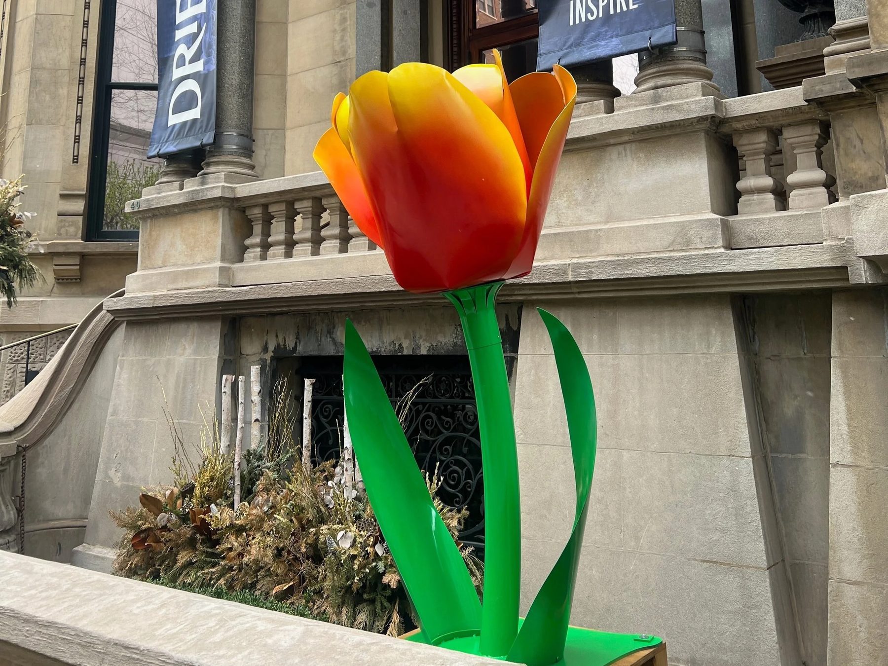Tulips on The Magnificent Mile