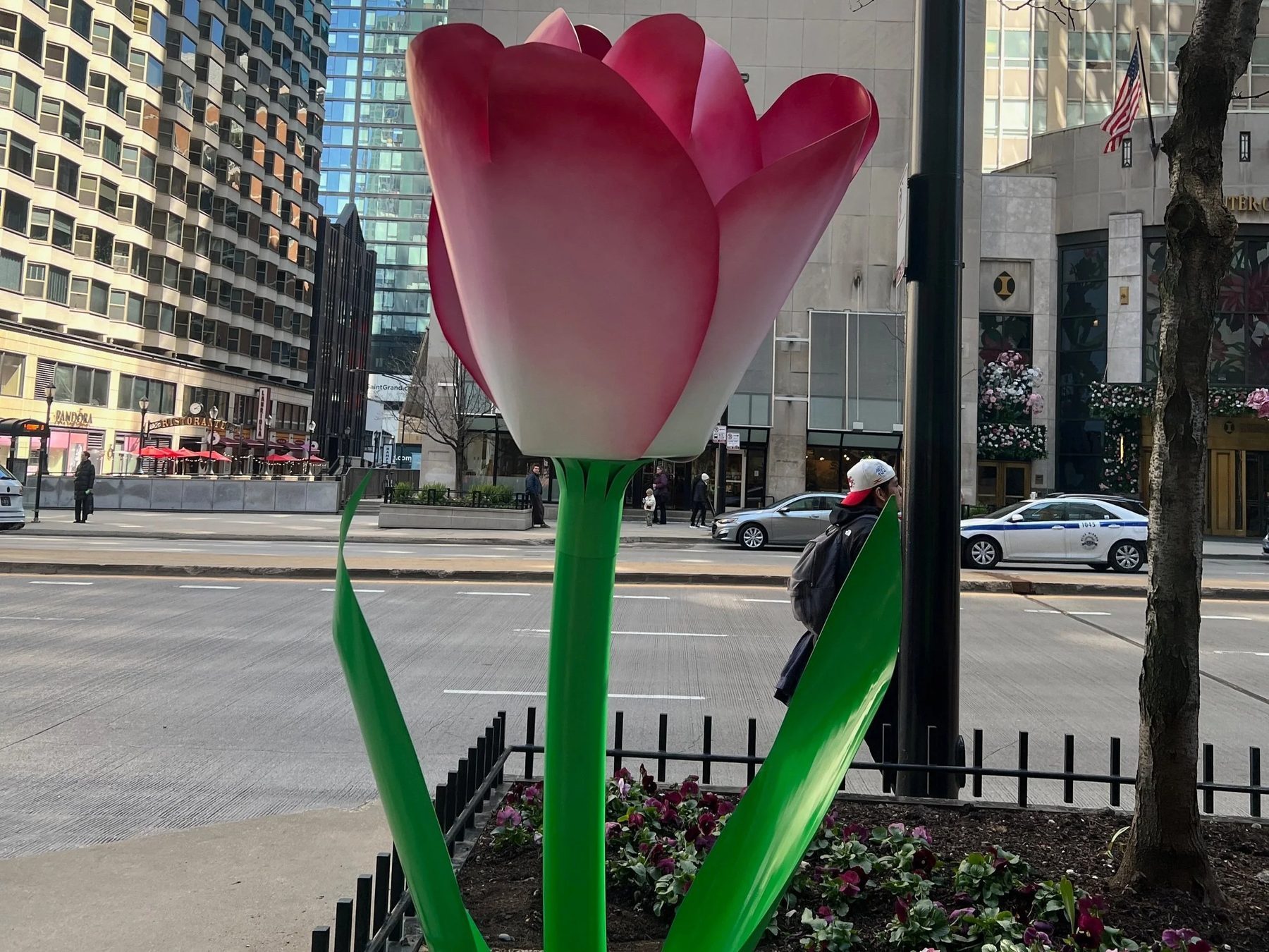 Tulips on The Magnificent Mile