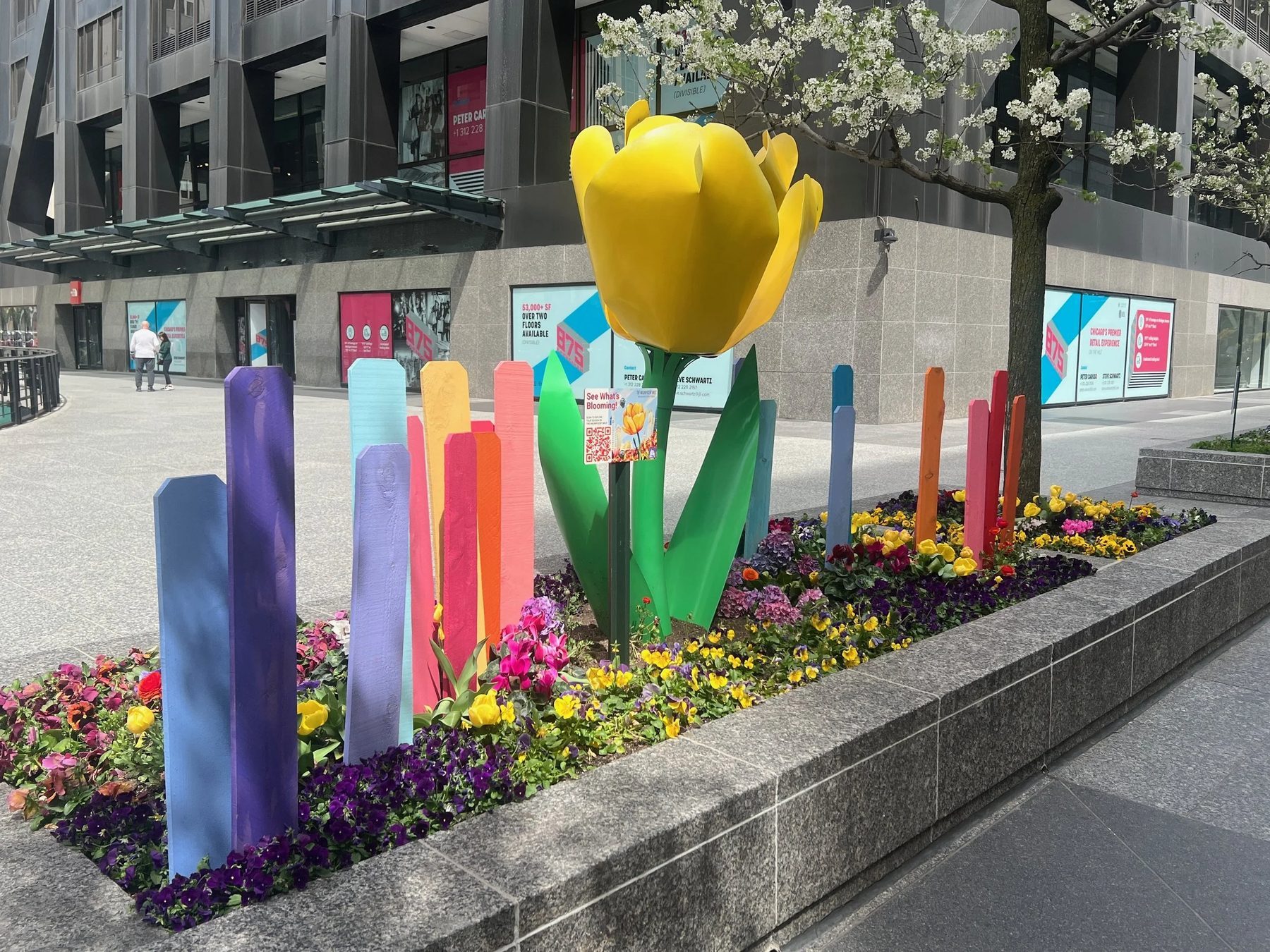 Tulips on The Magnificent Mile