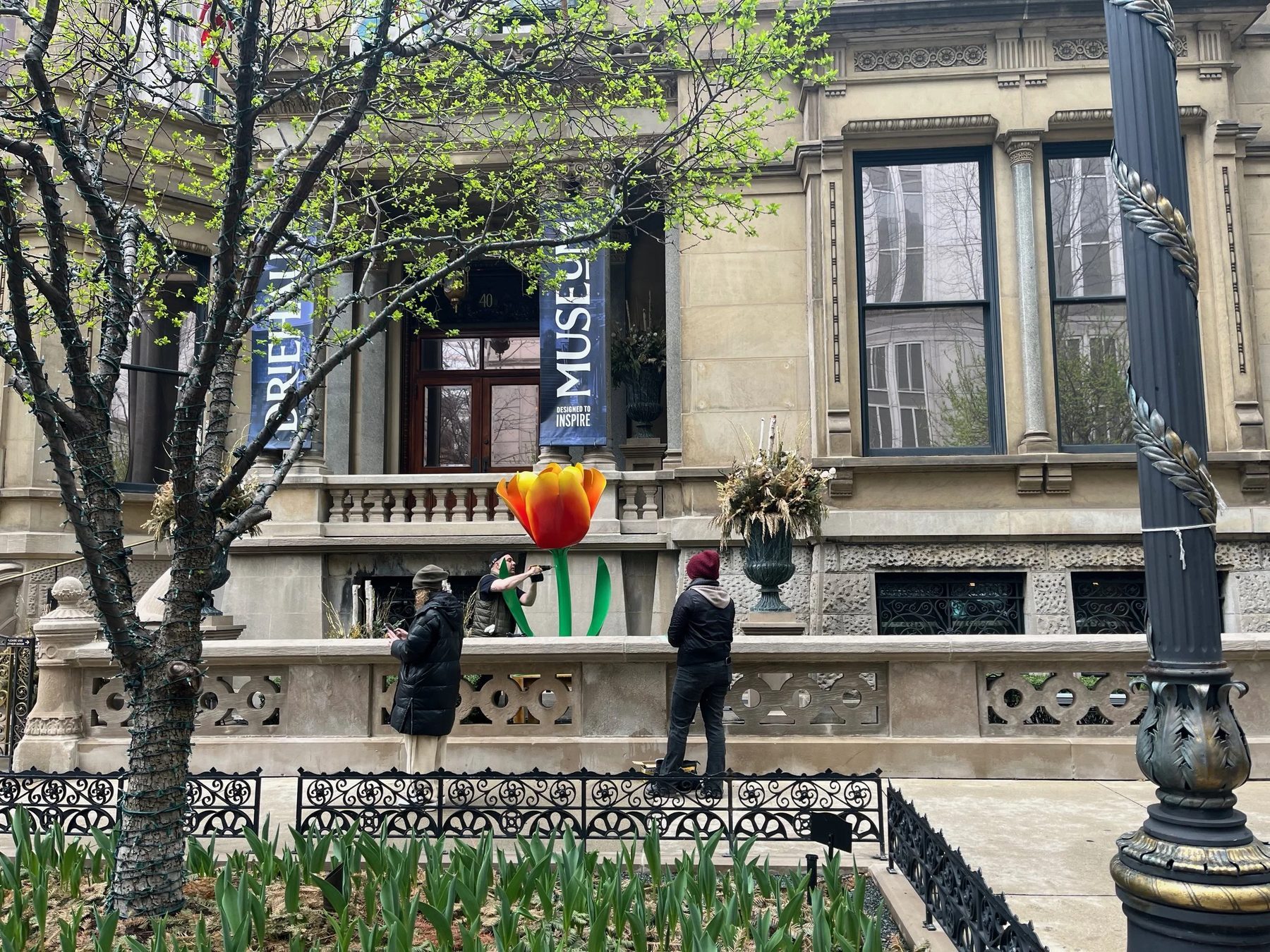 Tulips on The Magnificent Mile